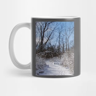 Winter wonderland Mug